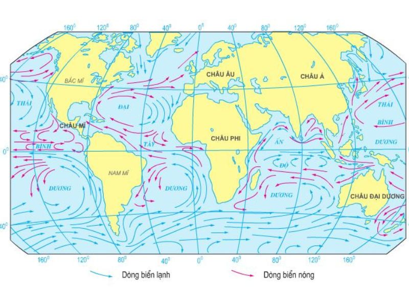 Các dòng biển nóng thường có hướng chảy từ