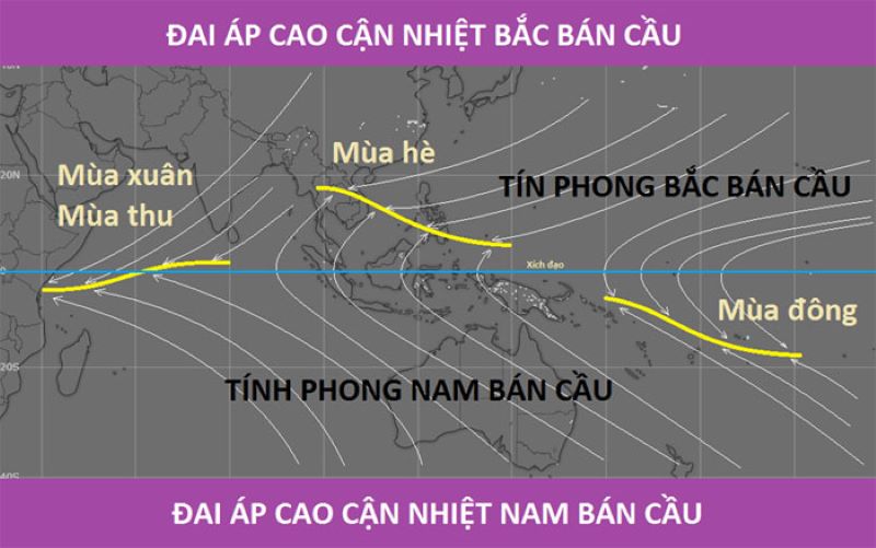 Các loại dải hội tụ nhiệt đới