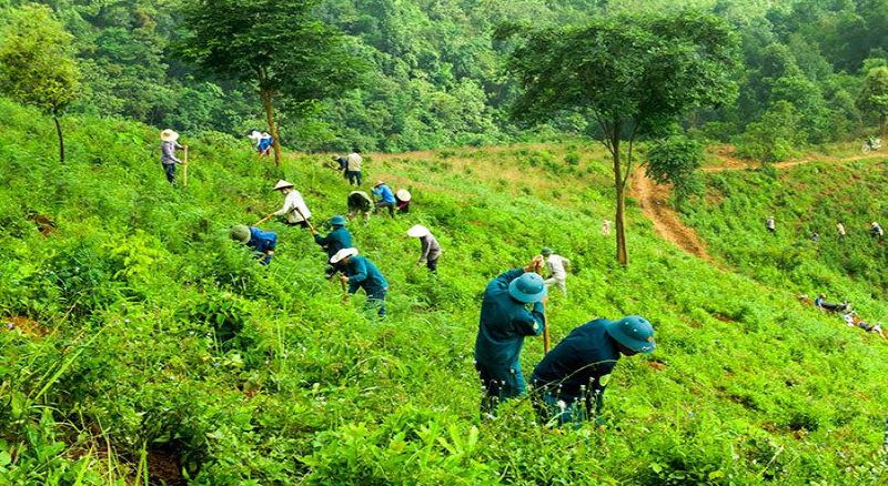 Chủ động ứng phó với dải hội tụ nhiệt đới