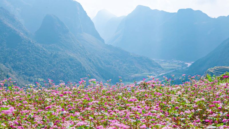 Mùa thu Hà Giang