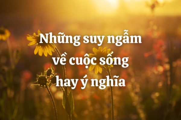 suy ngam ve cuoc song hay nhat