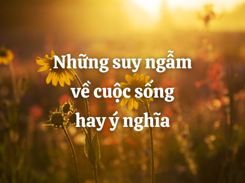 suy ngam ve cuoc song hay nhat