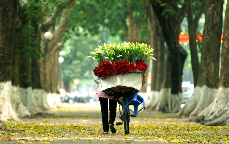 Mùa thu bắt đầu từ tháng mấy