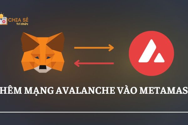 them-mang-avalanche-vao-metamask